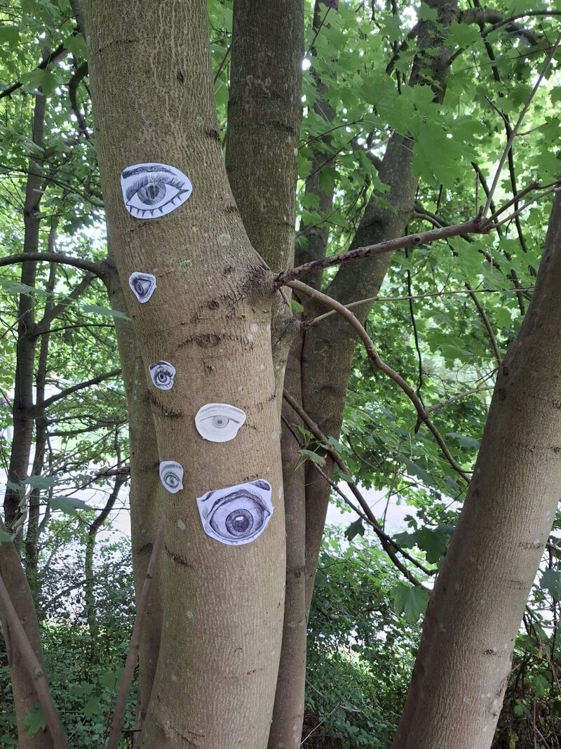 Eine Augen aus Papier wurden auf einem Baum der Trasse drapiert.